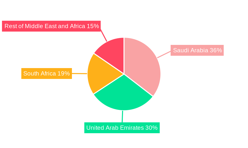 Middle East and Africa Repair and Rehabilitation Market Regional Share