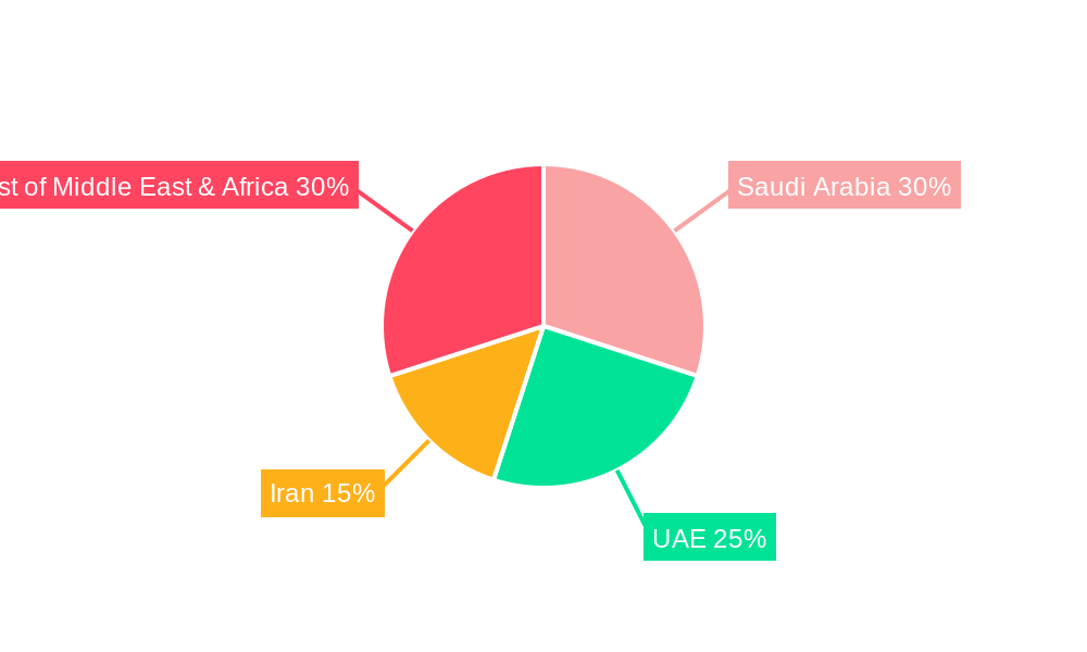 Natural Gas Market in Middle East Regional Share