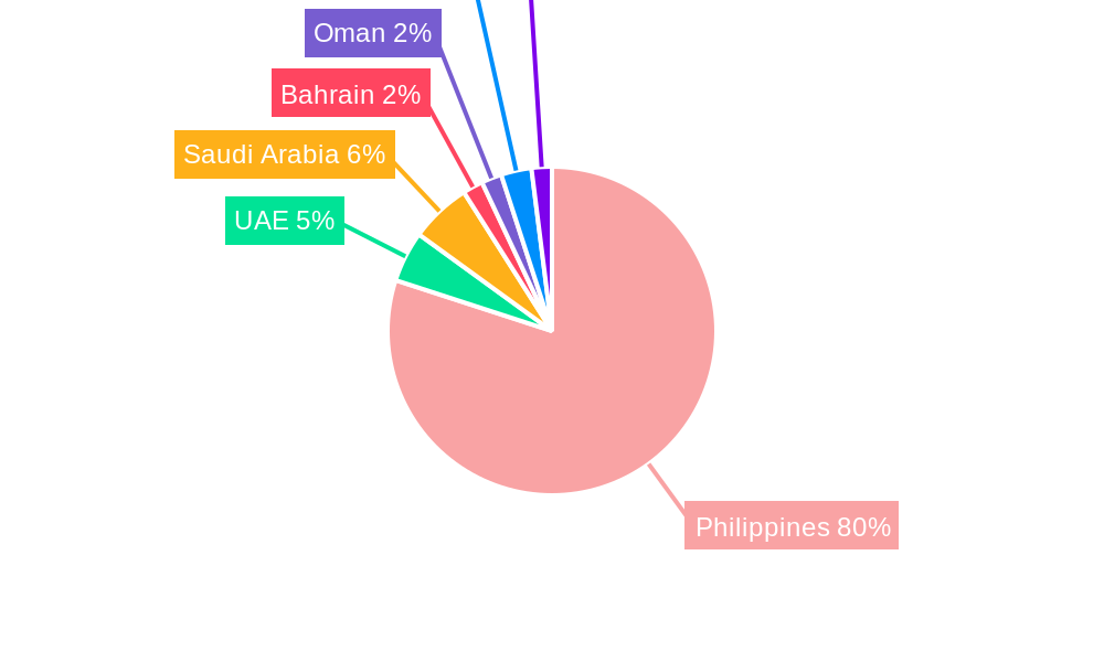 Pharmaceutical Packaging Market in the Philippines Regional Share