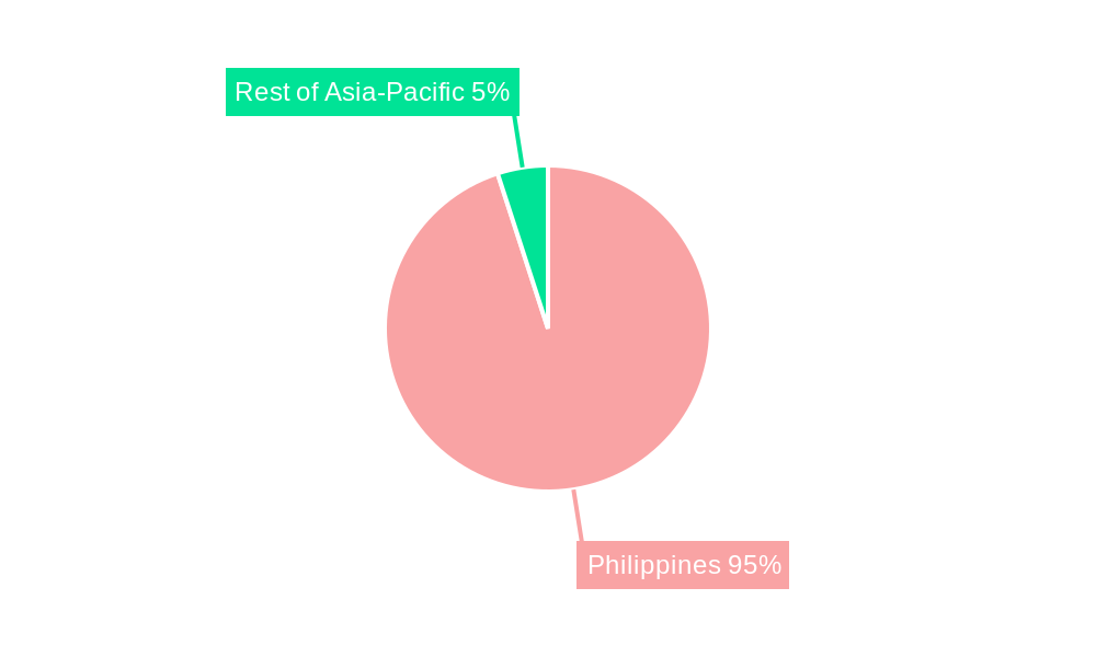 Philippines Geothermal Energy Market Regional Share