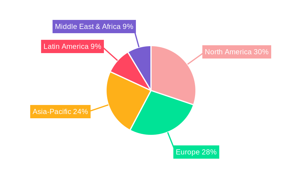 Shapewear Market Regional Share