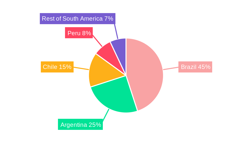South America Automotive High Performance Electric Vehicles Industry Regional Share