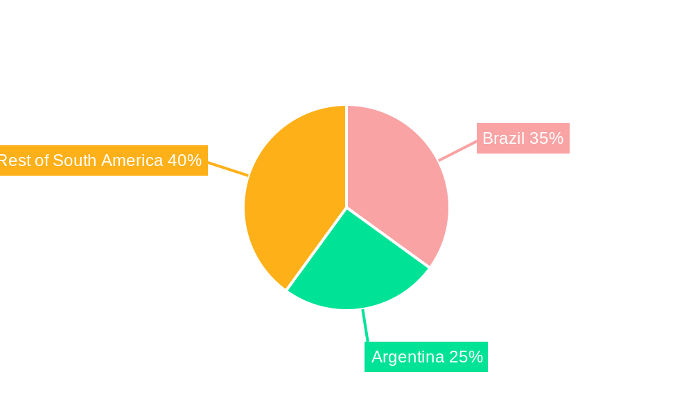 South America Canned Fruits Market Regional Share