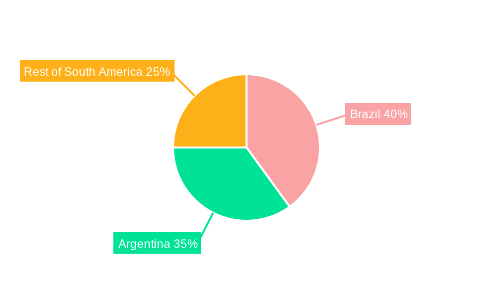 South America Feed Acidifiers Market Regional Share