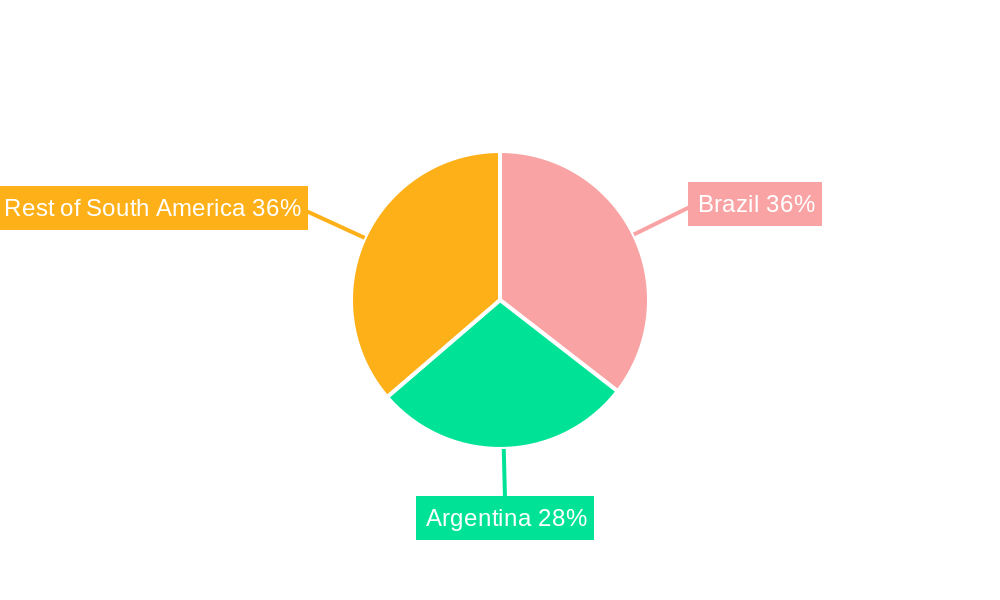 South America Feed Vitamins Market Regional Share