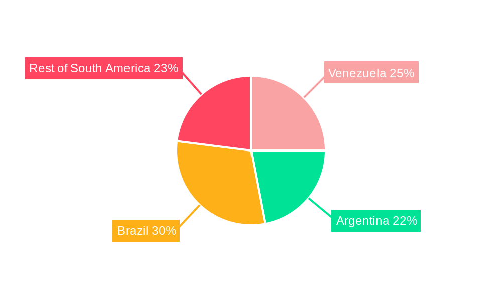 South America Intelligent Pigging Market Regional Share