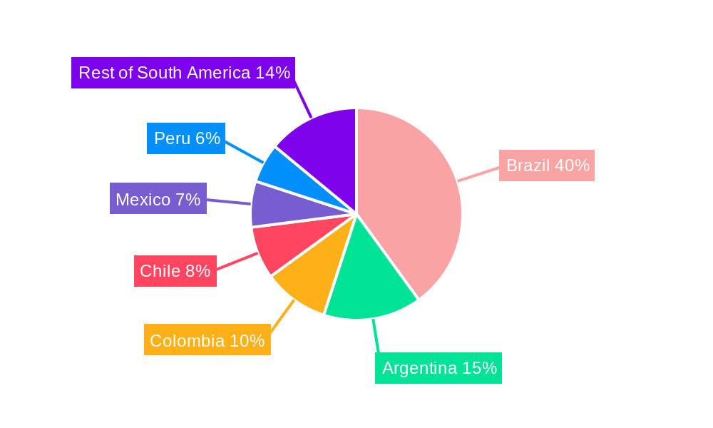 South America Membrane Water Treatment Chemicals Market Regional Share