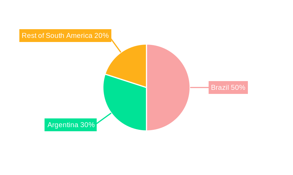 South America Omega-3 PUFA Market Regional Share