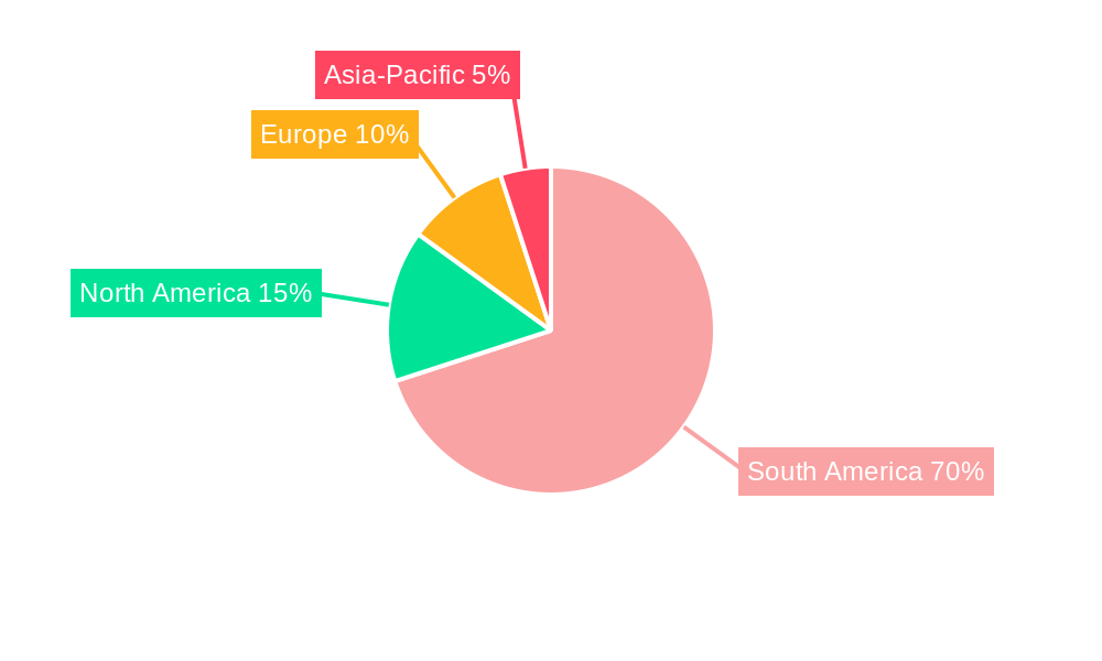South America Starch Derivatives Market Regional Share