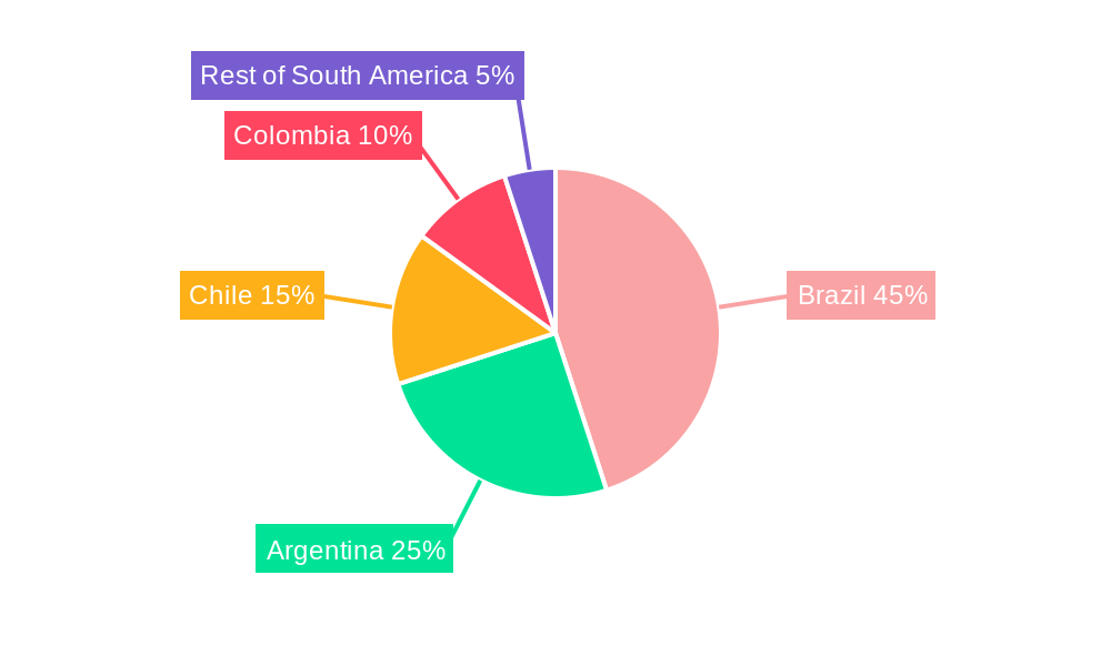 South America Water Treatment Chemicals Industry Regional Share