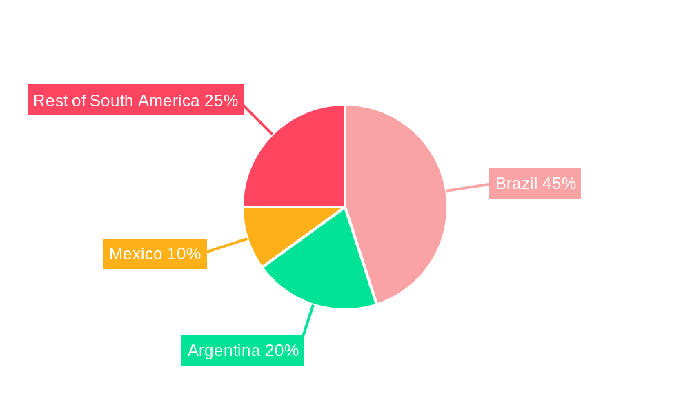 South and Central America Motive Lead-Acid Battery Market Regional Share