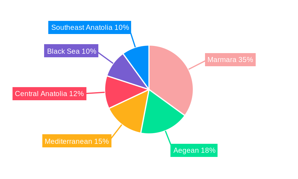 Turkey Washing Machine Market Regional Share