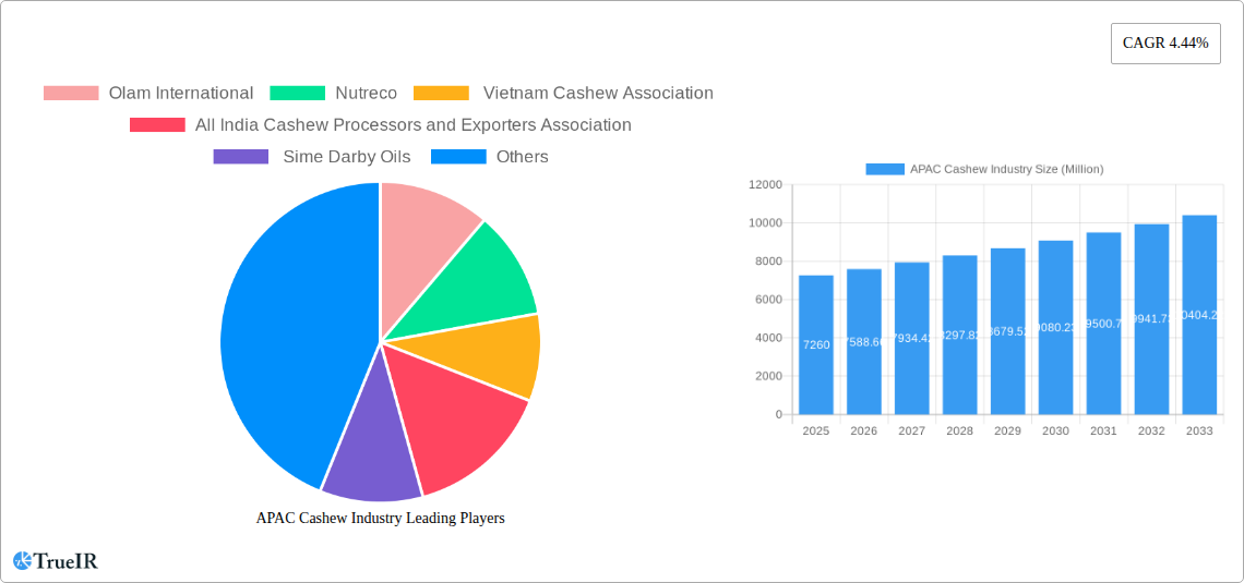 APAC Cashew Industry Research Report - Market Size, Growth & Forecast