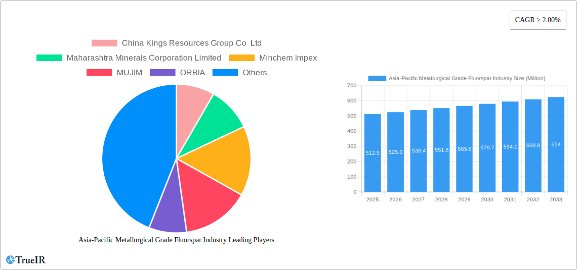 Asia-Pacific Metallurgical Grade Fluorspar Industry Research Report - Market Size, Growth & Forecast