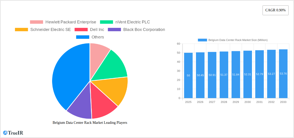 Belgium Data Center Rack Market Research Report - Market Size, Growth & Forecast