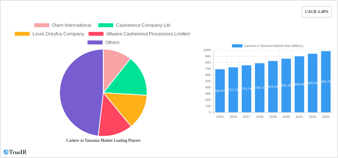 Cashew in Tanzania Market Research Report - Market Size, Growth & Forecast