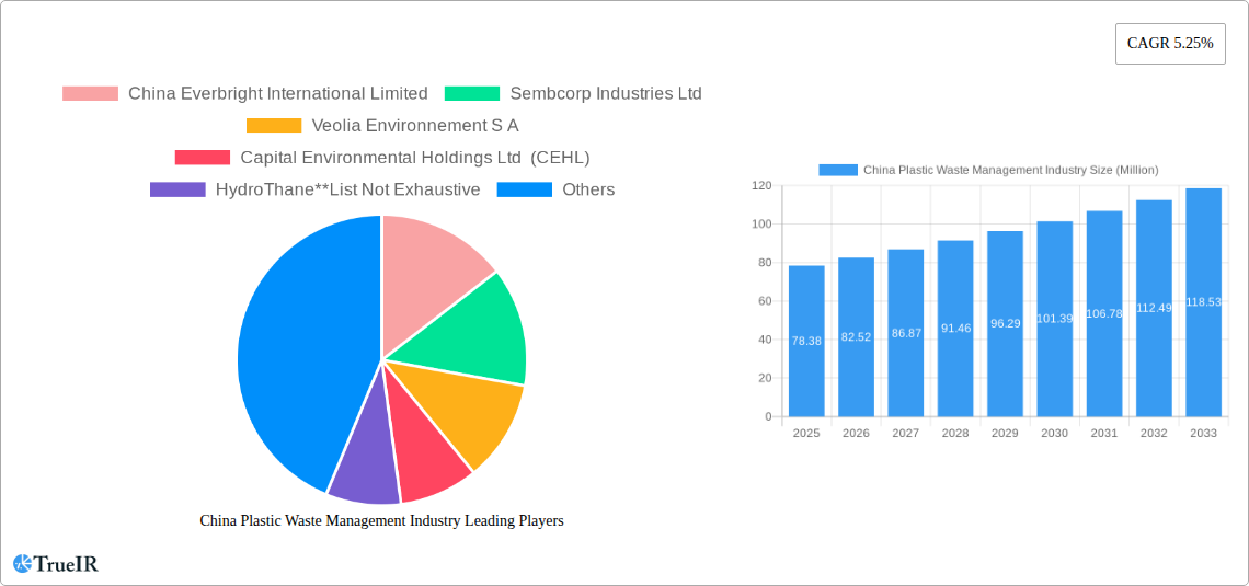 China Plastic Waste Management Industry Research Report - Market Size, Growth & Forecast
