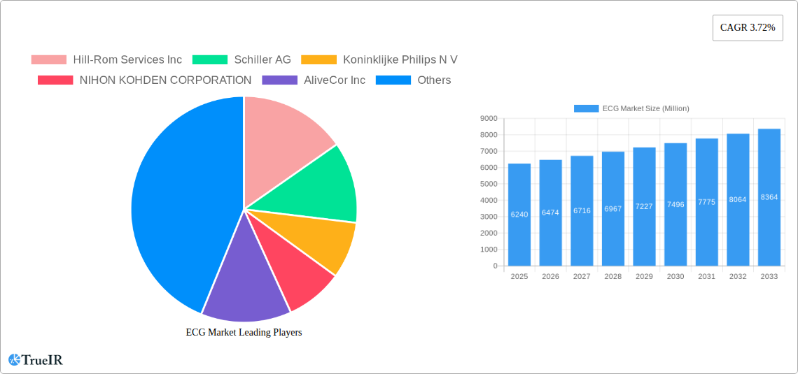 ECG Market Research Report - Market Size, Growth & Forecast