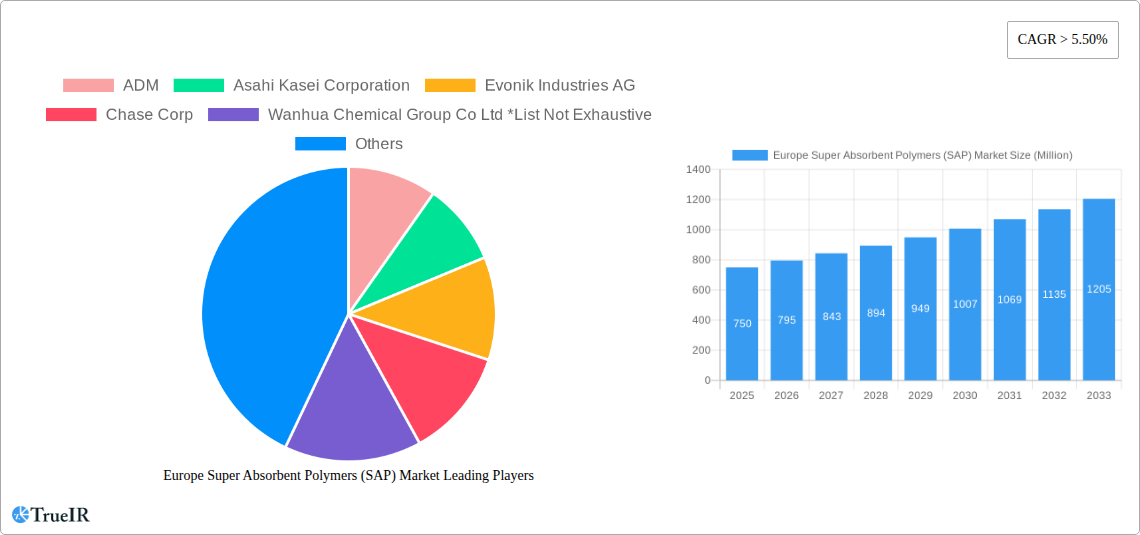 Europe Super Absorbent Polymers (SAP) Market Research Report - Market Size, Growth & Forecast