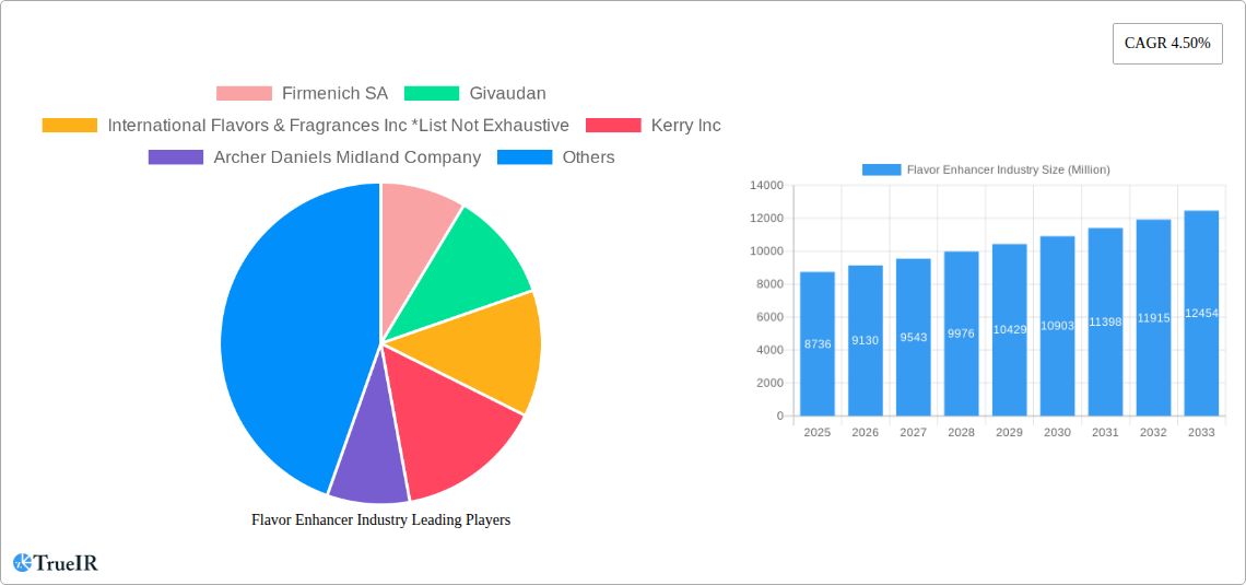 Flavor Enhancer Industry Research Report - Market Size, Growth & Forecast