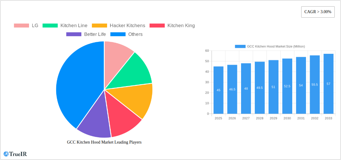 GCC Kitchen Hood Market Research Report - Market Size, Growth & Forecast