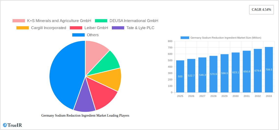 Germany Sodium Reduction Ingredient Market Research Report - Market Size, Growth & Forecast