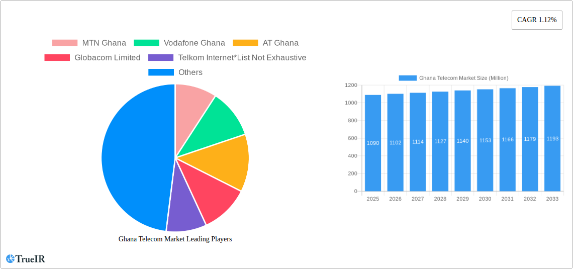 Ghana Telecom Market Research Report - Market Size, Growth & Forecast