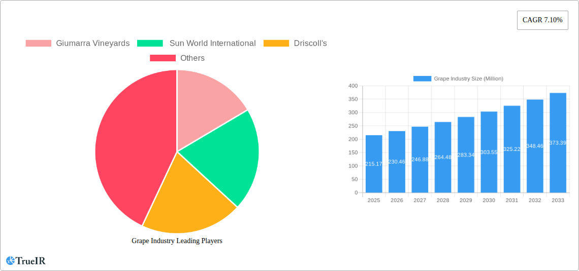Grape Industry Research Report - Market Size, Growth & Forecast