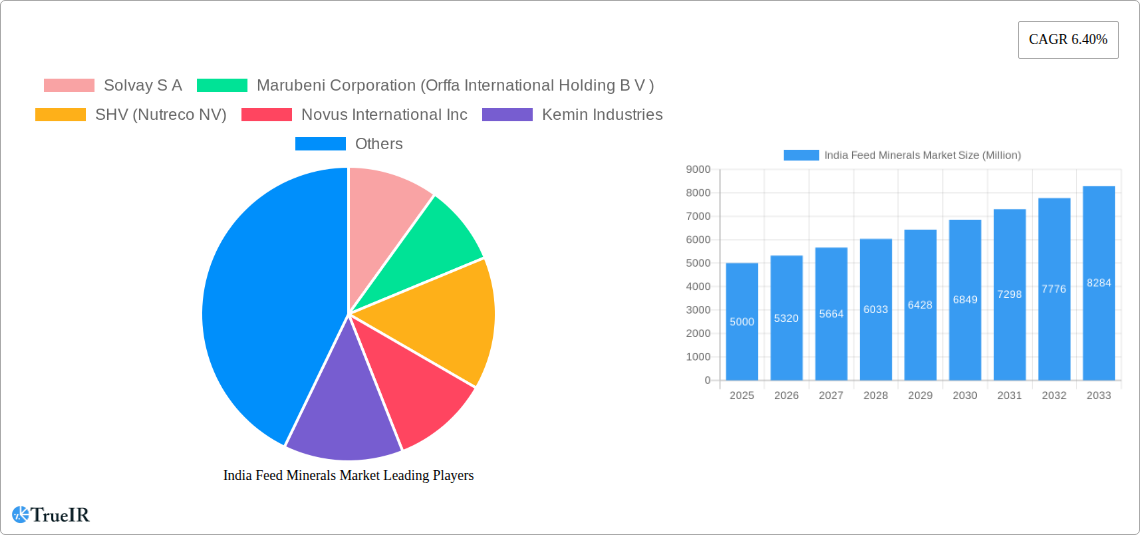 India Feed Minerals Market Research Report - Market Size, Growth & Forecast