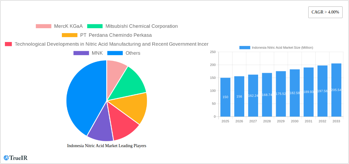 Indonesia Nitric Acid Market Research Report - Market Size, Growth & Forecast