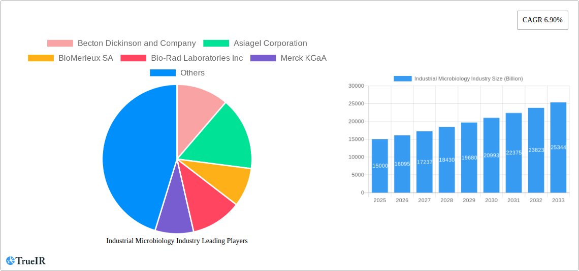 Industrial Microbiology Industry Research Report - Market Size, Growth & Forecast