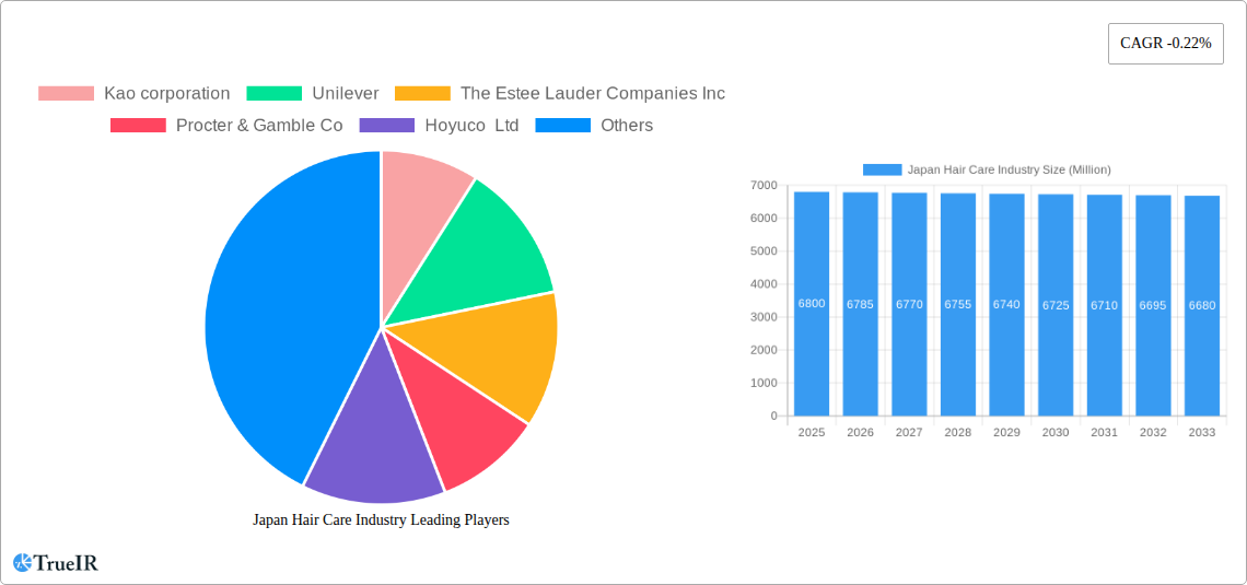 Japan Hair Care Industry Research Report - Market Size, Growth & Forecast