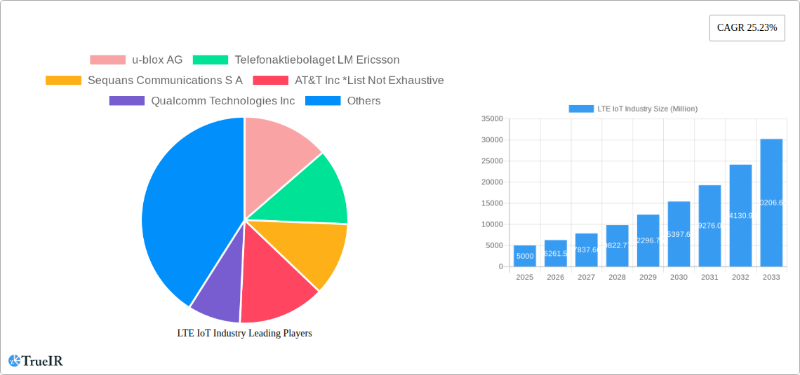LTE IoT Industry Research Report - Market Size, Growth & Forecast