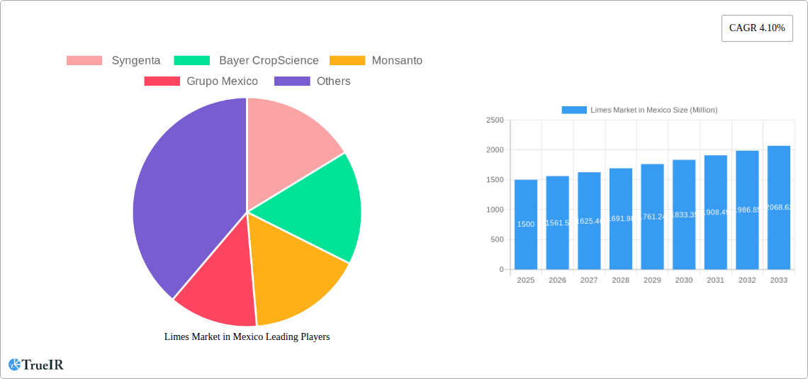 Limes Market in Mexico Research Report - Market Size, Growth & Forecast