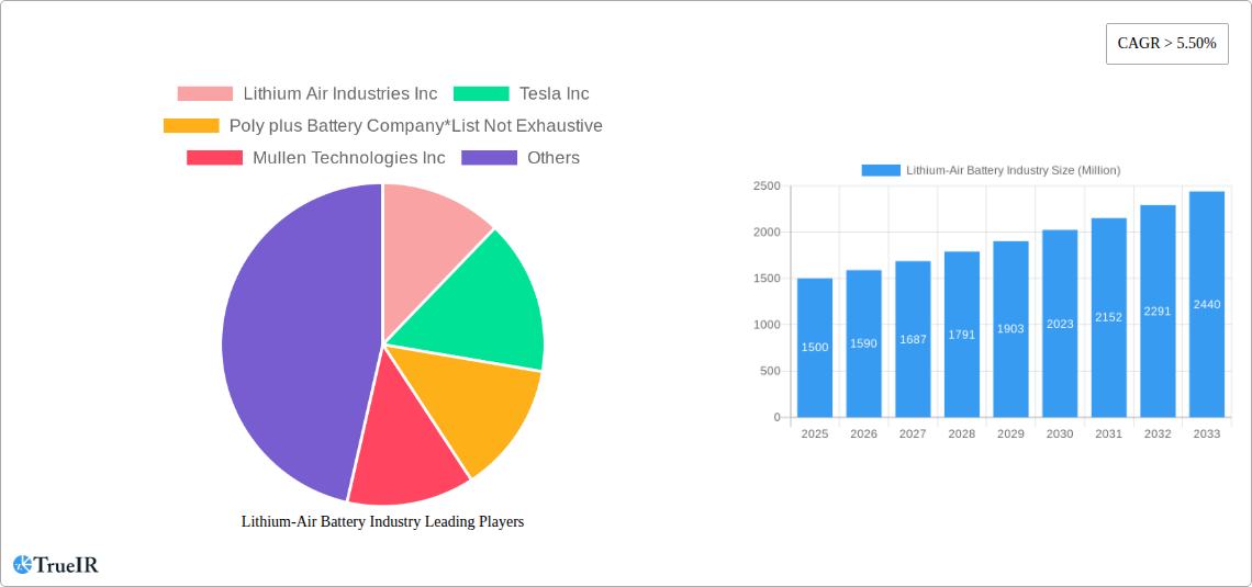 Lithium-Air Battery Industry Research Report - Market Size, Growth & Forecast