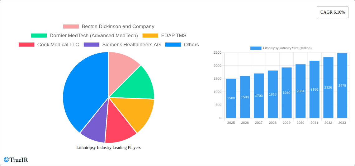 Lithotripsy Industry Research Report - Market Size, Growth & Forecast