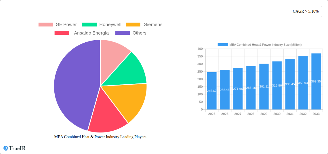 MEA Combined Heat & Power Industry Research Report - Market Size, Growth & Forecast