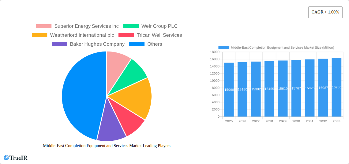 Middle-East Completion Equipment and Services Market Research Report - Market Size, Growth & Forecast