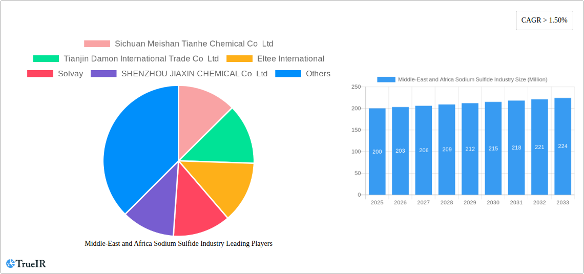 Middle-East and Africa Sodium Sulfide Industry Research Report - Market Size, Growth & Forecast