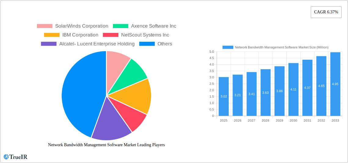 Network Bandwidth Management Software Market Research Report - Market Size, Growth & Forecast