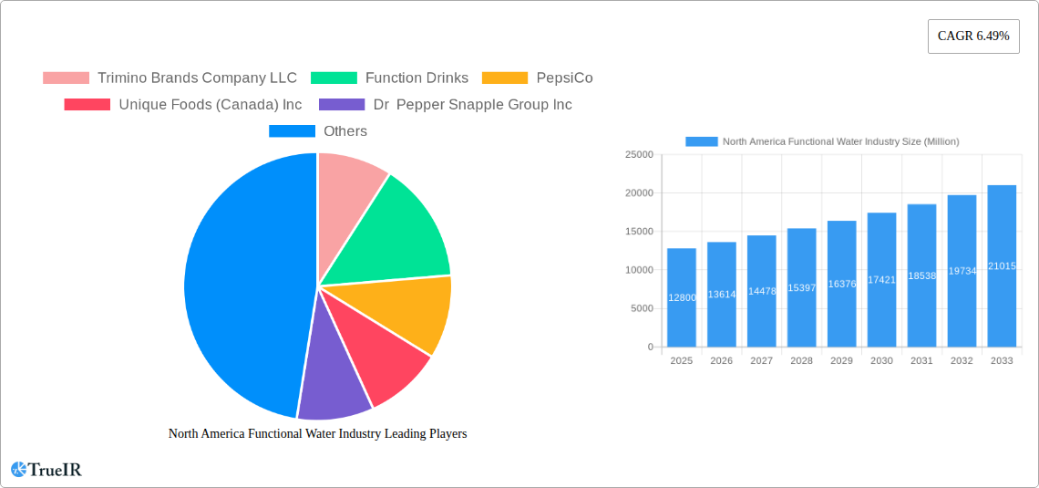 North America Functional Water Industry Research Report - Market Size, Growth & Forecast