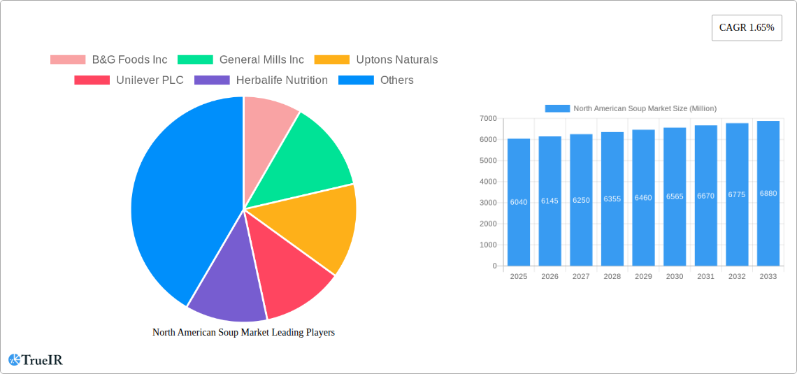 North American Soup Market Research Report - Market Size, Growth & Forecast
