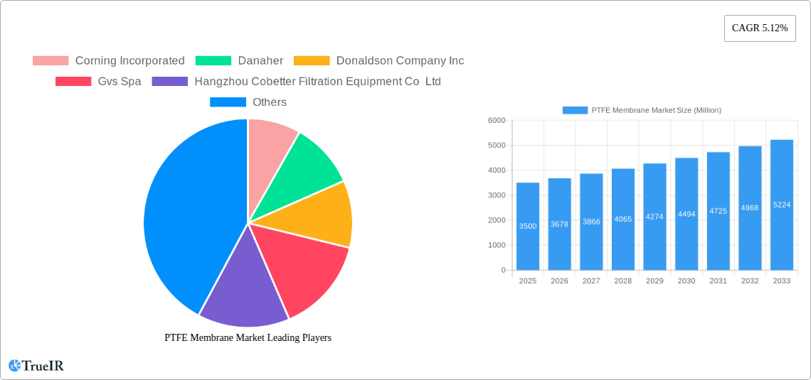 PTFE Membrane Market Research Report - Market Size, Growth & Forecast