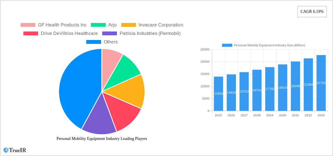Personal Mobility Equipment Industry Research Report - Market Size, Growth & Forecast