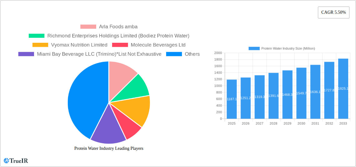 Protein Water Industry Research Report - Market Size, Growth & Forecast