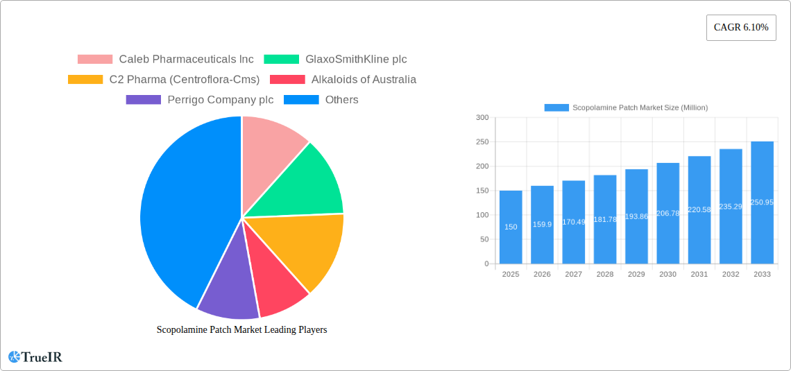 Scopolamine Patch Market Research Report - Market Size, Growth & Forecast