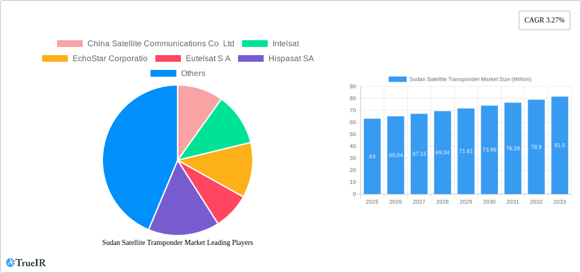 Sudan Satellite Transponder Market Research Report - Market Size, Growth & Forecast