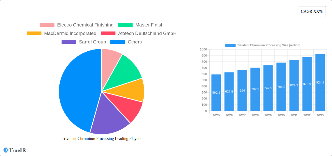 Trivalent Chromium Processing Research Report - Market Overview and Key Insights
