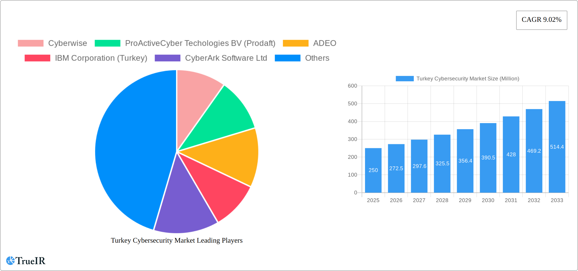 Turkey Cybersecurity Market Research Report - Market Size, Growth & Forecast