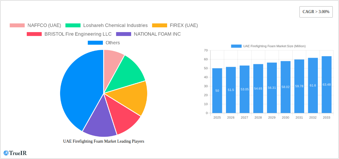UAE Firefighting Foam Market Research Report - Market Size, Growth & Forecast